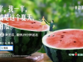 爆料吃瓜文案哪里找,吃瓜文案背后的秘密与技巧